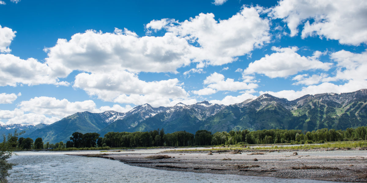 A summertime view of the Teton Mountains with the Snake River flowing by