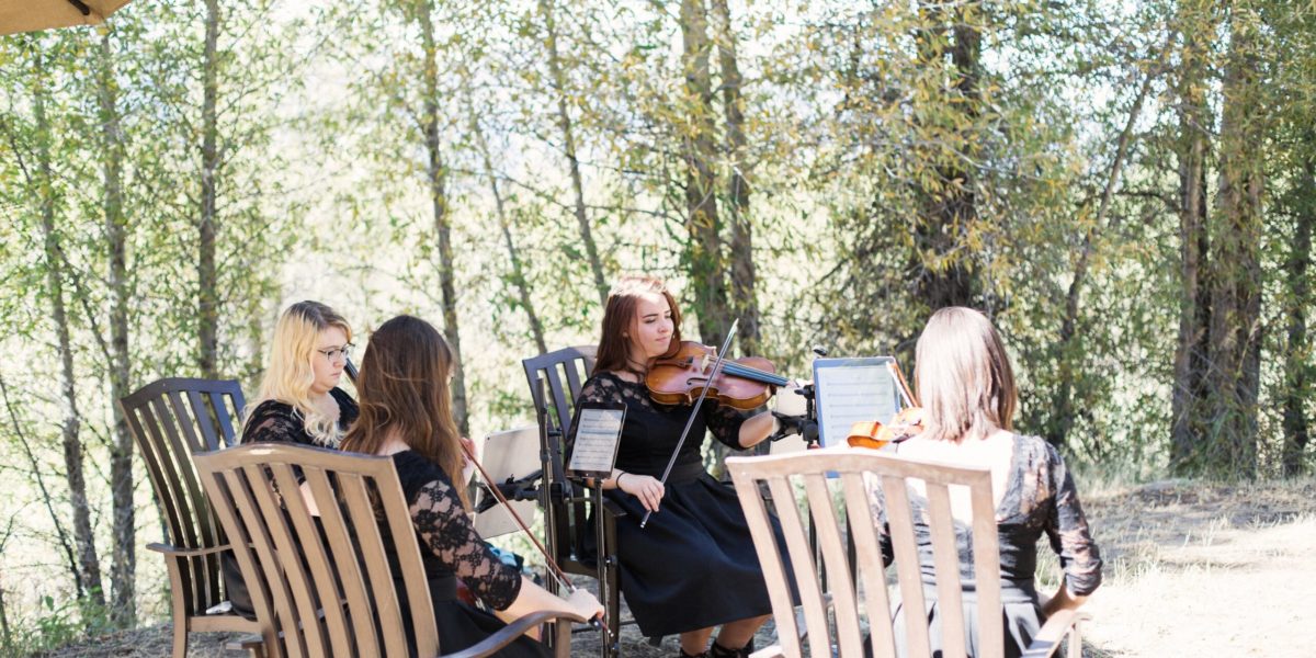 A string quartet plays music in the trees
