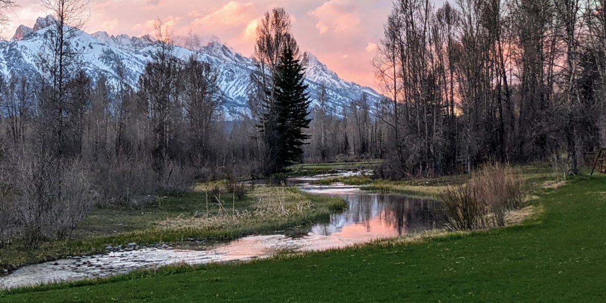 A beautiful pink sunset behind snowy mountains reflecting in a creek with a grass lawn