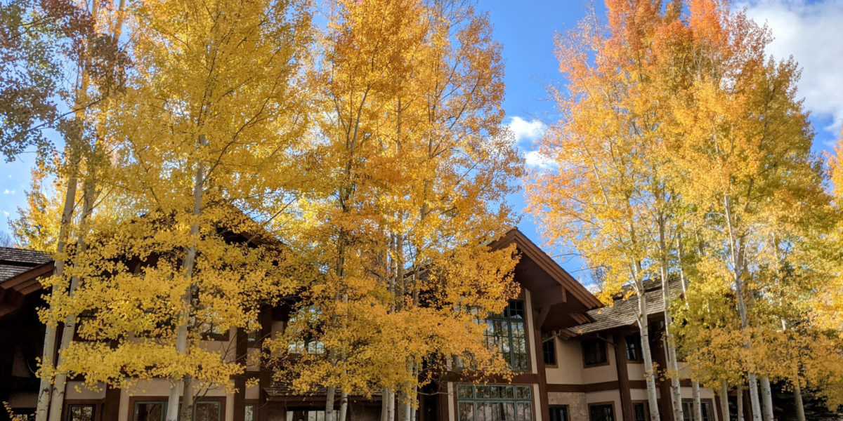 A luxurious home surrounded by aspens with yellow and gold autumn leaves