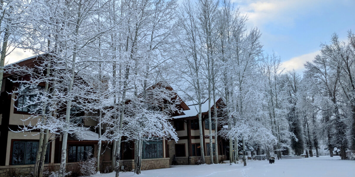 A large home surrounded by trees all covered in snow